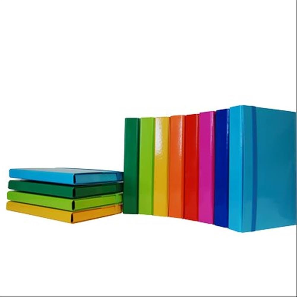 CARTELLA PORTAPROGETTI C/ELASTICO DORSO 1 PROG.1 CROMA