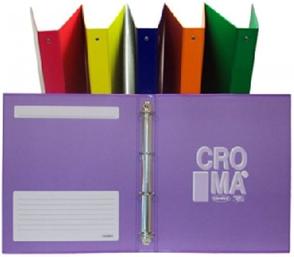 CARTELLA 4 ANELLI A/5 DIAM.30 COLORI ASSORTITI FQ30 CROMA