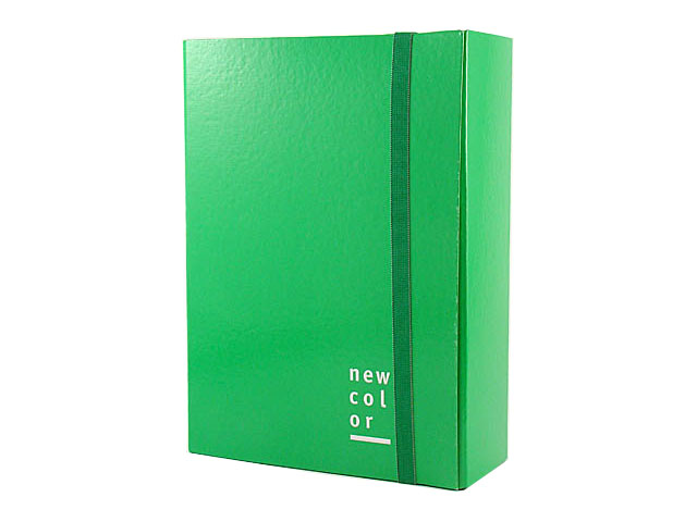 CARTELLINA 3/L ELASTICO PIATTO 25X35 D3 VERDE 0221303.VE