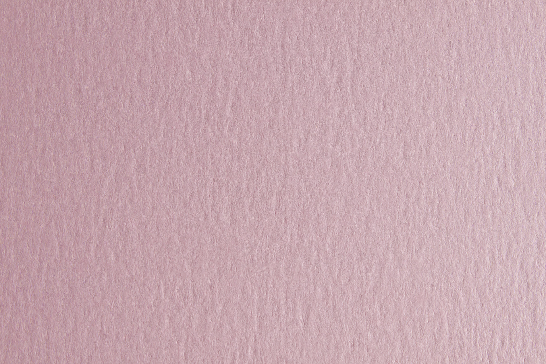 CARTONCINO BRISTOL 50X70 GR.200 ROSA 44353236