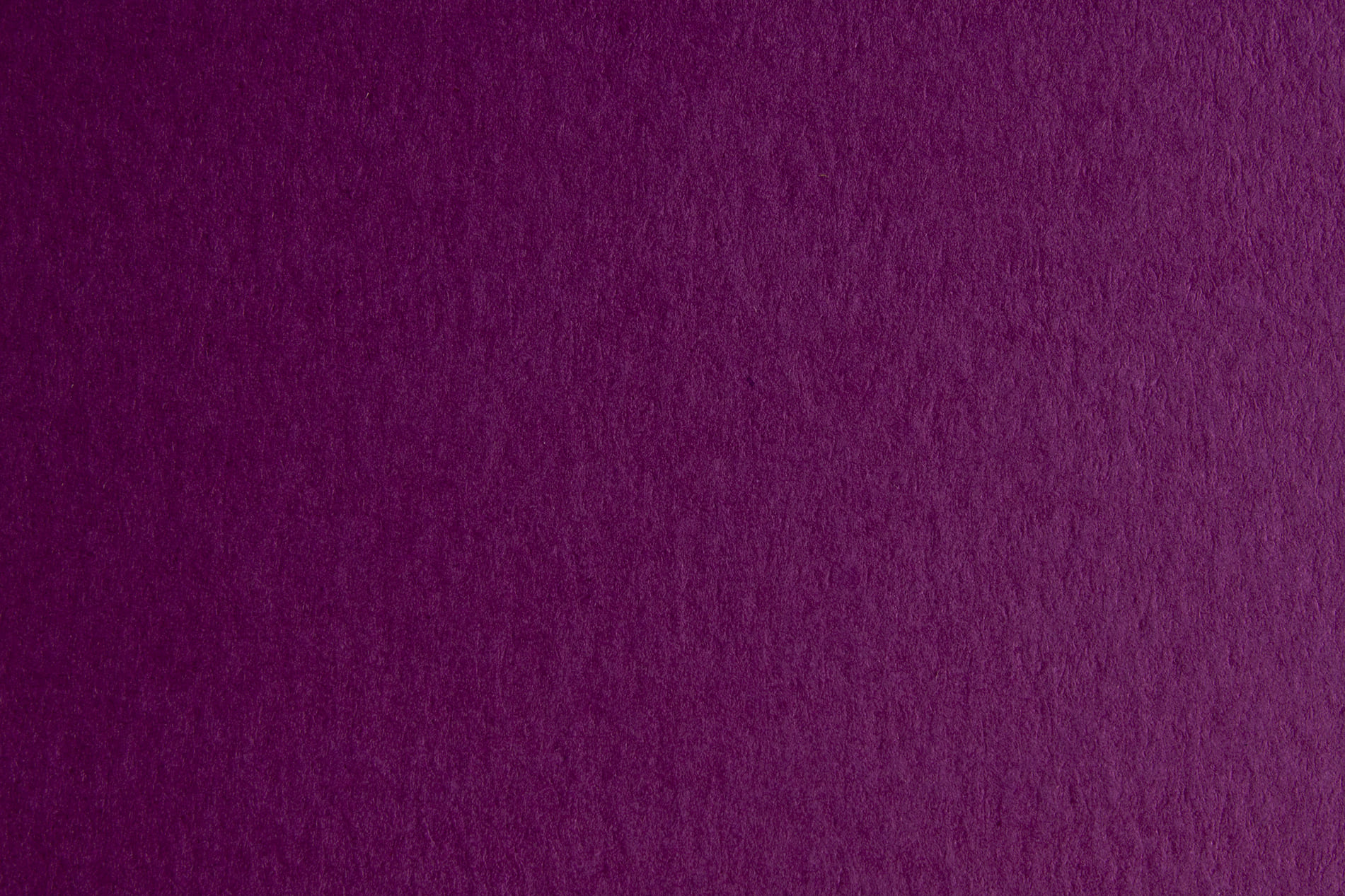 CARTONCINO BRISTOL 50X70 GR.200 VIOLA 44353224