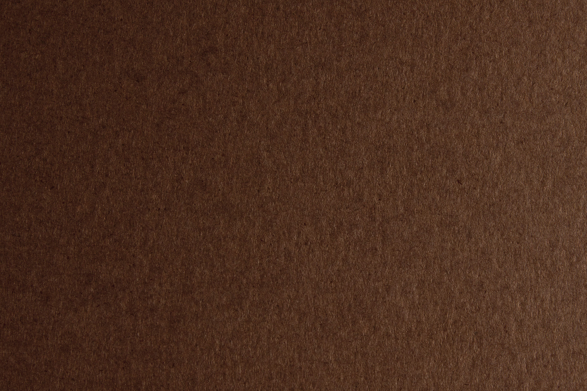 CARTONCINO BRISTOL 50X70 GR.200 MARRONE 44353226