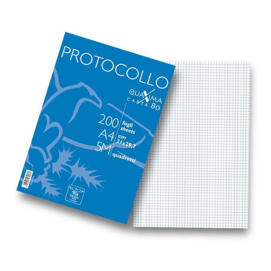 RISMA CARTA PROTOCOLLO GR. 80 200 FG. RIG. 5MM 02156215M
