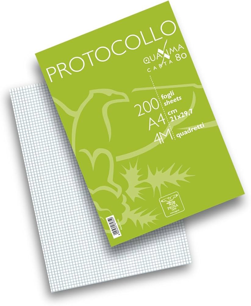 RISMA CARTA PROTOCOLLO CONF. 30 FG. 80GR RIG. 4MM 02312604M