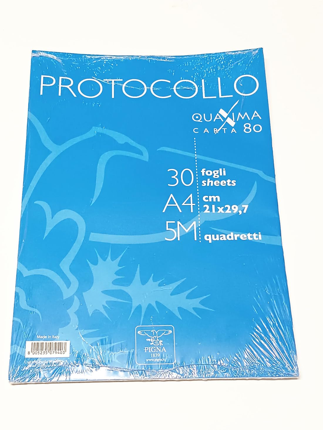 RISMA CARTA PROTOCOLLO CONF. 30 FG. 80GR RIG. 5MM 02156225M