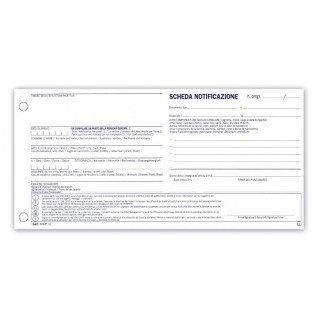 96SK NOTIFICA+PRIVACY 2C AUT CONF.DA 200 PZ F.TO 10,1X23