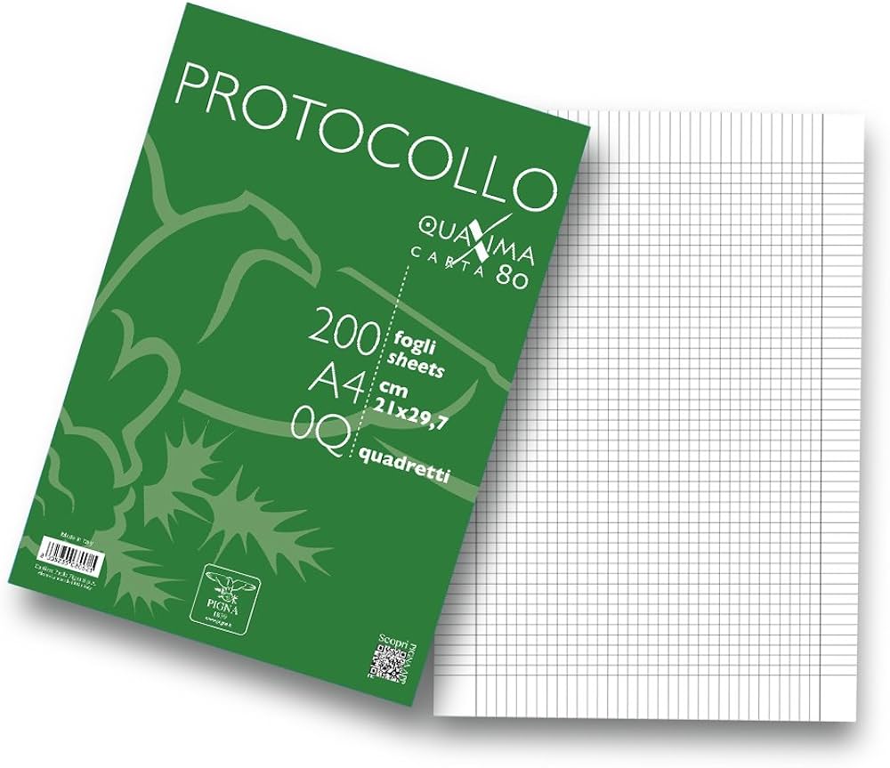 RISMA CARTA PROTOCOLLO GR. 80 200 FG. RIG. Q 02156210Q