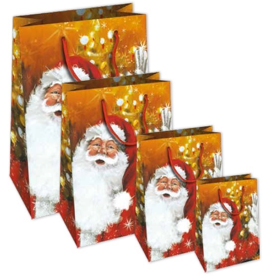 SHOPPER BABBO NATALE 25X12X35 CM. MEDIO SH56238