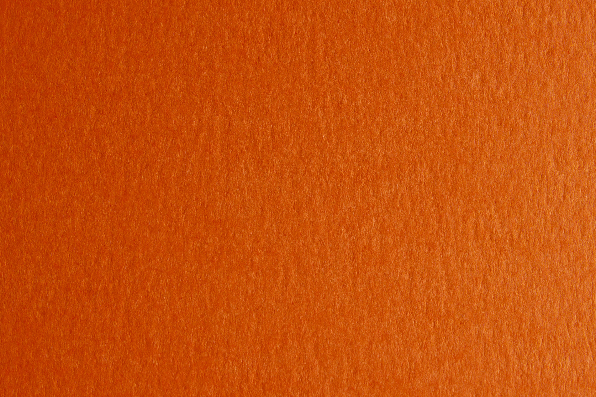 CARTONCINO BRISTOL 50X70 GR.200 ARAGOSTA 44353246