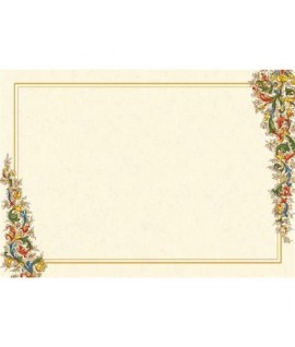 PERGAMENA DIPLOMA FIRENZE GR.160 21X29,7 14626000S10