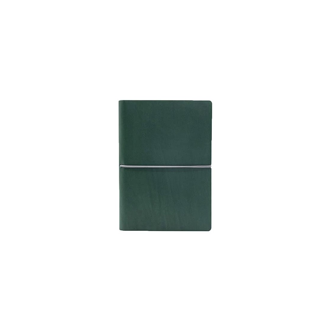 AGENDA GIORNALIERA 12X17 C/ELA CIAK EVO VERDE 7542CKC24