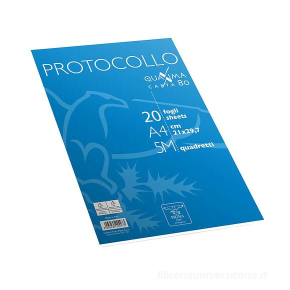 RISMA CARTA PROTOCOLLO CONF. 20 FG. 80GR RIG. 5M 02322645M