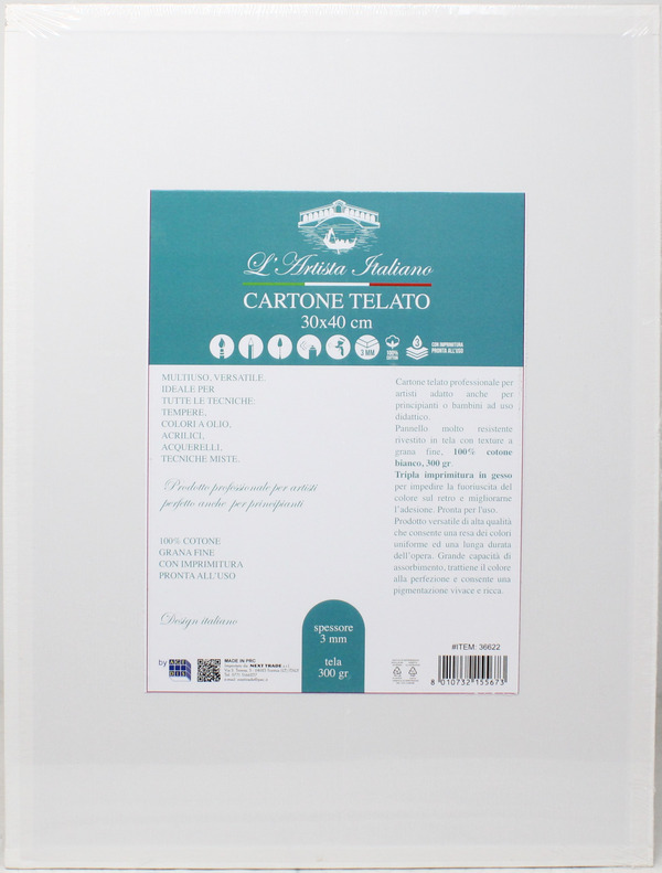 CARTONE TELATO 30X40 36622