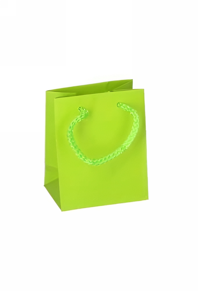 BUSTE SHOPPER CARTA 10X12X6.5 VERDE MELA 12PZ UY510HRR04YVM