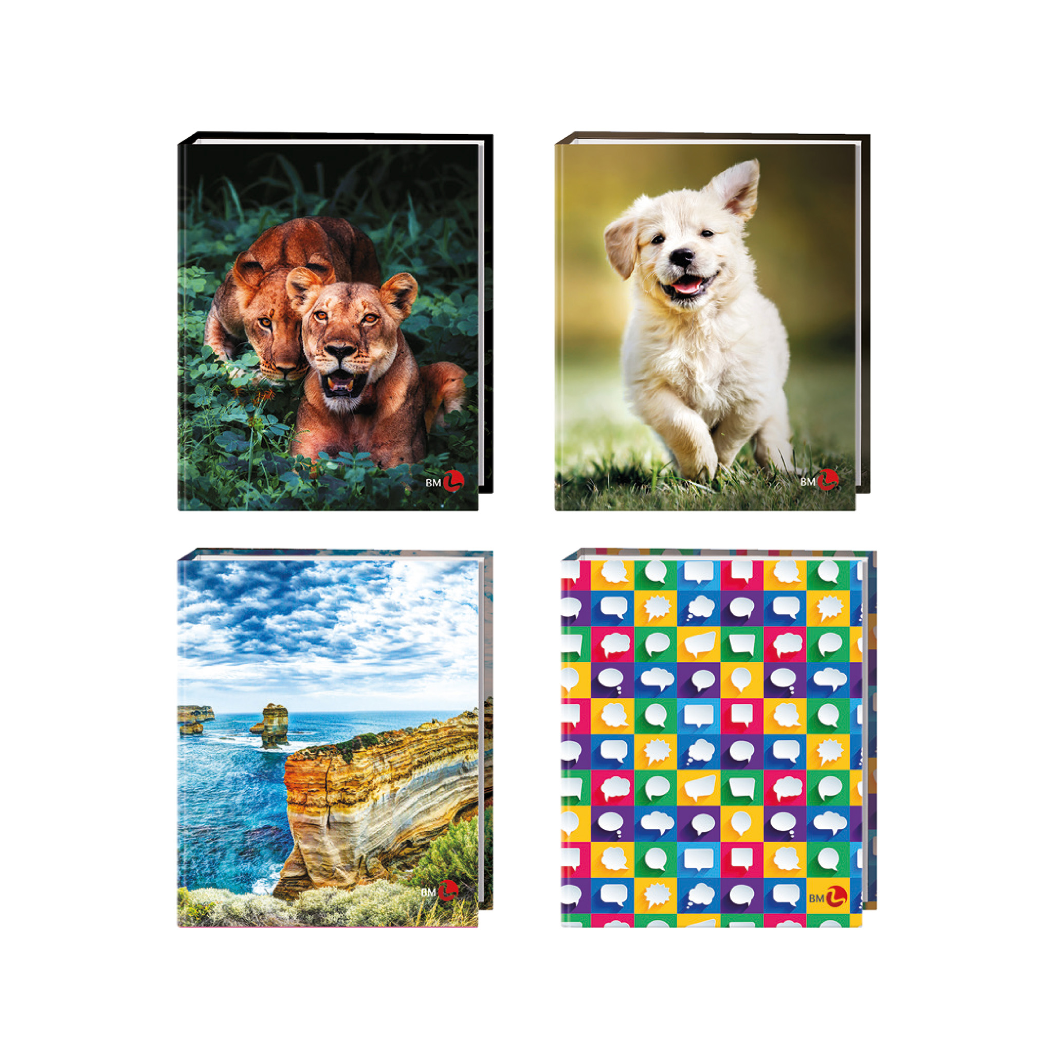 CARTELLA 4 ANELLI A5 DIAM 25 ASSORTIITE 0120155