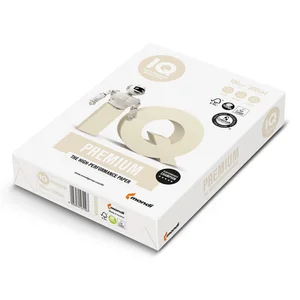 RISMA TONER SECCO GR 100 500FG A4 IQ PREMIUM IQ100/A4